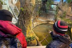 6-klases-audzeknu-rigas-zoodarza-apmeklejums-24-11-2023-2