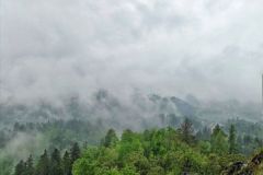 debess-sega-diana-zake-foto-konkurss-2019