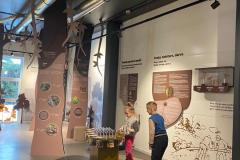 Izzinošā ekspedīcija "Augu nozīme cilvēka dzīvē" - 05.02.2026.