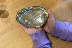 Daudzveidiga-udens-pasaule_2