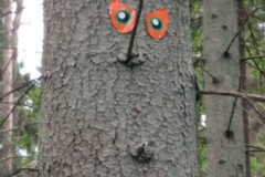 izzinosa-ekspedicija-doma-analize-verte-29