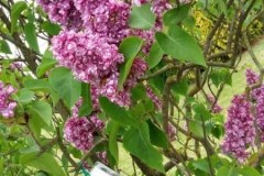 izzinosa-ekspedicija-doma-analize-verte-6