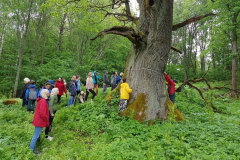 izzinosa-ekspedicija-doma-un-darbojies-31-05-2017-1