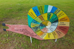 izzinosa-ekspedicija-doma-un-darbojies-31-05-2017-13