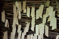 izzinosa-ekspedicija-doma-un-darbojies-31-05-2017-18