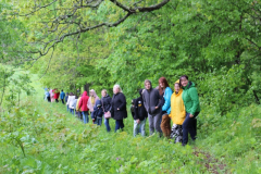 izzinosa-ekspedicija-doma-un-darbojies-31-05-2017-27