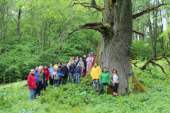 izzinosa-ekspedicija-doma-un-darbojies-31-05-2017-28