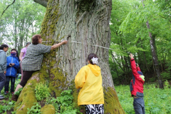 izzinosa-ekspedicija-doma-un-darbojies-31-05-2017-29