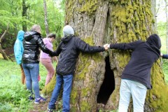 izzinosa-ekspedicija-doma-un-darbojies-31-05-2017-30