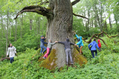 izzinosa-ekspedicija-doma-un-darbojies-31-05-2017-31