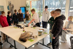 Dzivnieku-attistibas-posmi-4