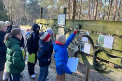 Dzivnieku-attistibas-posmi-9