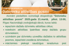 Dzivnieku-attistibas-posmi