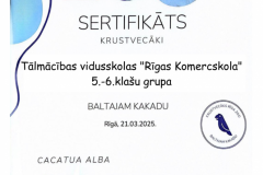 Sertifikats