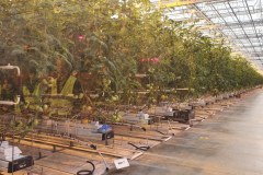 ilgstsp-saimniekosana8