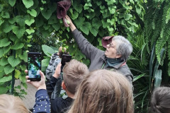 izzinosa-ekspedicija-kas-ir-oranzerija_5