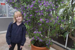 izzinosa-ekspedicija-kas-ir-oranzerija_7