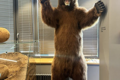 izzinosa-ekspedicija-muzeja-stasts-olaine-3