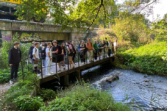 thumbs_Nepamanita-Pardaugava_8