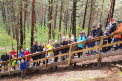 parsteigums-jurmala-3