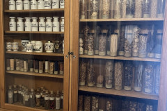 Farmacijas-muzejs-3