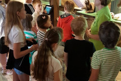 Nosleguma_izzinosa_ekspedicija_30