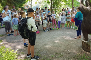 IZZINOŠĀ EKSPEDĪCIJA "ZAĻĀ MEŽA BRĪNUMAINIE STĀSTI"- 31.05.2024.