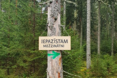 IZZINO4