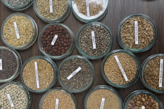 Izzinošā ekspedīcija "Zinātnieku nakts 2025"-26.09.2025.