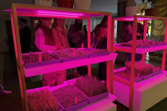 Izzinošā ekspedīcija "Zinātnieku nakts 2025"-26.09.2025.