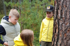 Izzinošā meža ekspedīcija- 19.09.2025.