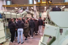 5-macamies-celojot-un-petot-feru-salas