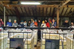 8-macamies-celojot-un-petot-feru-salas