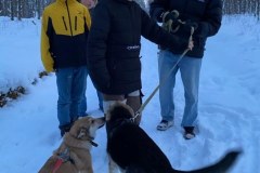 dzivnieku-patversme-4