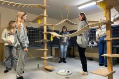 dzivnieku-patversme-5