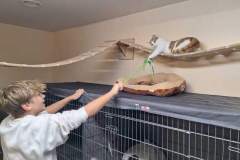 dzivnieku-patversme-7