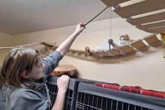 dzivnieku-patversme-8