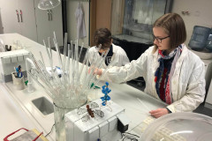 kimijas-konsultacija-rigas-komercskolas-5-7-klasu-audzekniem-4