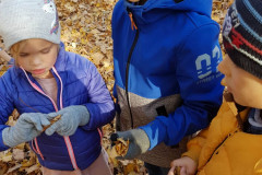 latviesu-valodas-konsultacija-talmacibas-skola-6