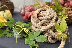 Miķeļdienas ieskandināšana - 25.09.2025.