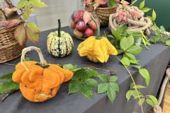 Miķeļdienas ieskandināšana - 25.09.2025.