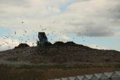 Starptautiska-pedagogu-profesionalas-kompetences-pilnveides-seminara-Izglitiba-nakotnes-cilvekam-–-28.04.2022.-galerija-16