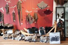 Jauniesu-daliba-Latvijas-Universitates-organizetajas-skolenu-zinatniski-petnieciskajas-konferences-ar-projekta-ietvaros-veiktajiem-petijumiem-noverojumiem-klimatu-parmainu-joma-4