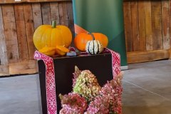 2-pasakums-mikeldiena-atnakusi