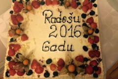Pedagoģiskā sēde - 07.01.2016.