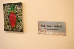 Pirmā skolas diena Tālmācības vidusskolā «Rīgas Komercskola» - 12.09.2015.