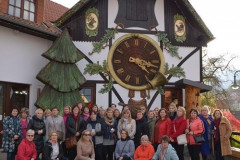 10-pedagogu-profesionalas-seminars