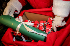 Svētku pasākums "Ziemassvētku noskaņas radot"- 04.12.2025.