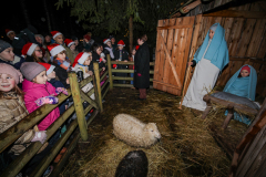 Svētku pasākums "Ziemassvētku noskaņas radot"- 04.12.2025.