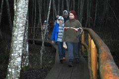 ziemassvetku-svinibas-pie-pokaina-61